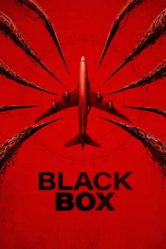 Black Box (Flight 298)