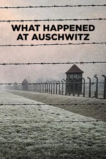 What Happened at Auschwitz