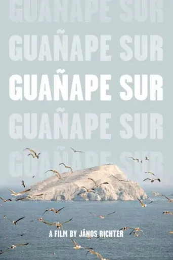 Guañape sur