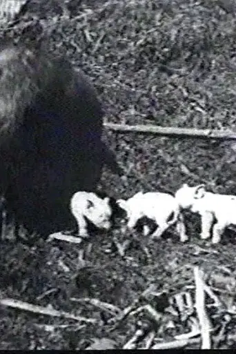 Mamma's Pets
