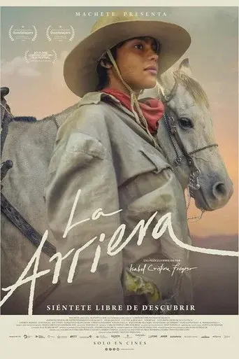 The Muleteer