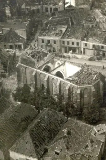 The Destruction of Borculo