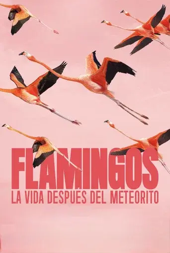 Flamingos: Life After the Meteorite