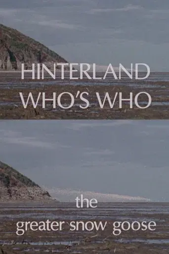Hinterland Who's Who: The Greater Snow Goose