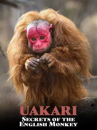 Uakari: Secrets of the English Monkey