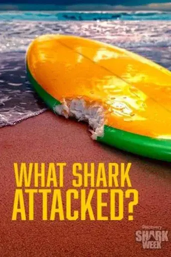 What Shark Attacked?