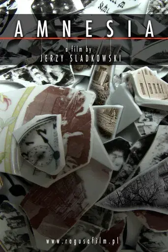 Amnesia