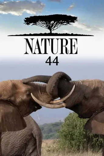 Season 44