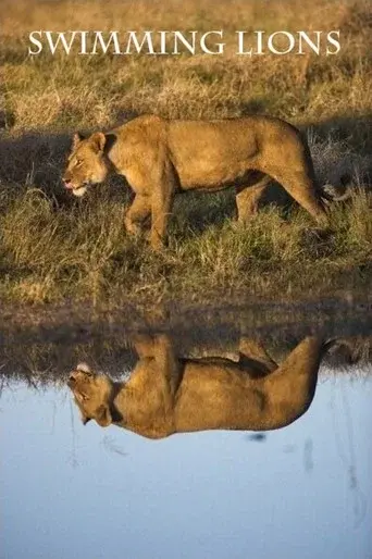 Swimming Lions