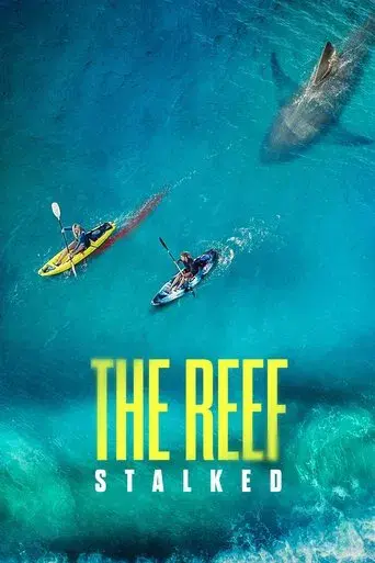 The Reef: Stalked
