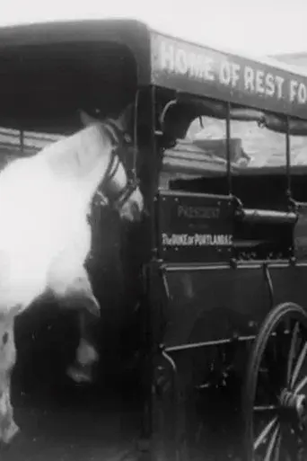 Horses' New Year's Feast