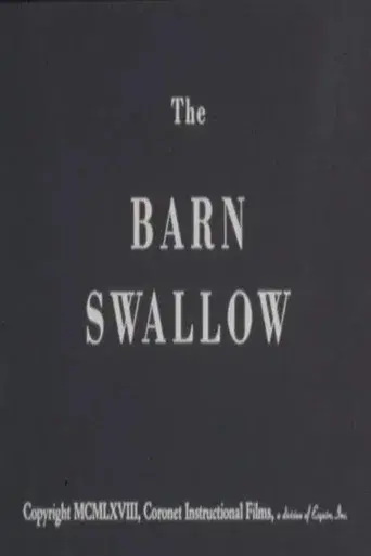 The Barn Swallow