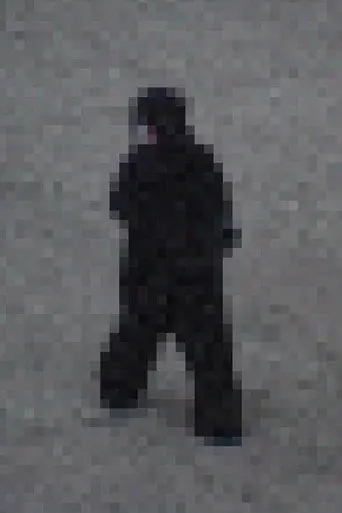 Gorilla Gorilla