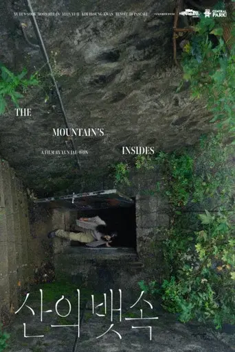 The Mountain’s Insides