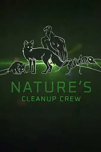 Clean Up Crew