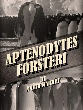 Aptenodytes Forsteri