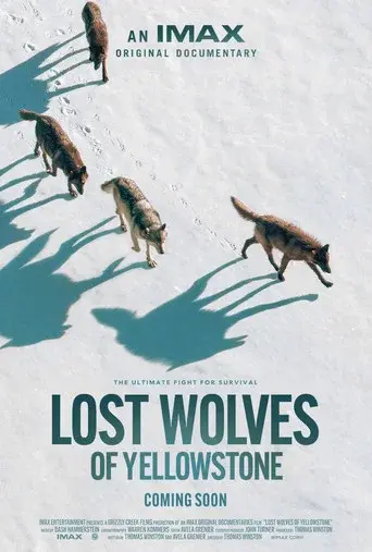Lost Wolves of Yellowstone