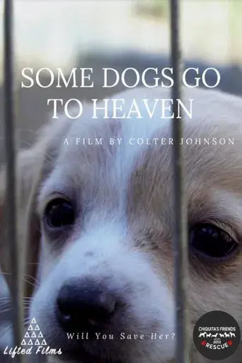 Some Dogs Go to Heaven