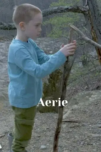 Aerie