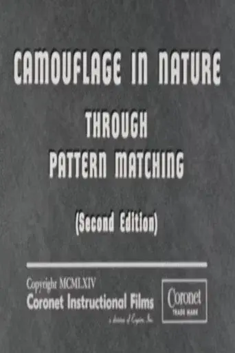 Camouflage In Nature: Through Pattern Matching (Second Edition)