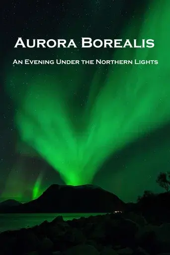 Aurora Borealis: An Evening under the Northern Lights