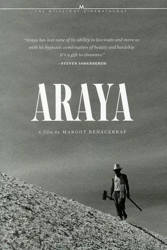 Araya