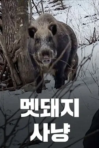 Wild Boar Hunting