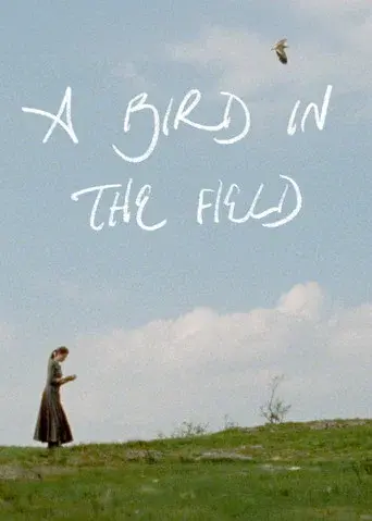 A Bird in the Field