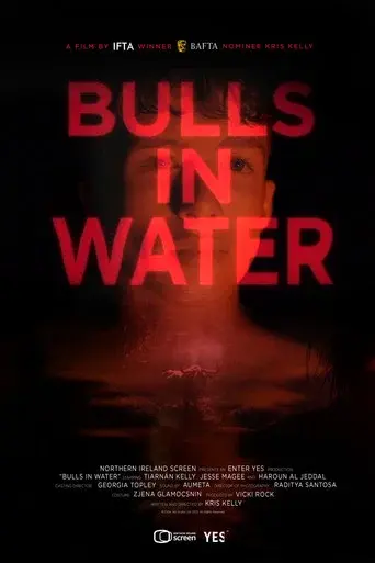 Bulls in Water