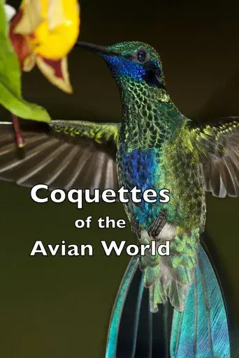 Coquettes of the Avian World