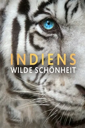 India's Wild Beauty