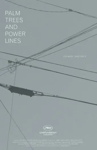 Palm Trees and Power Lines