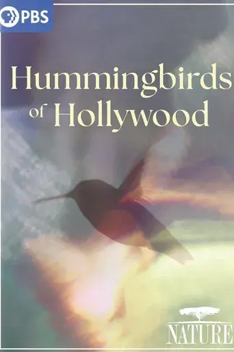 Hummingbirds of Hollywood