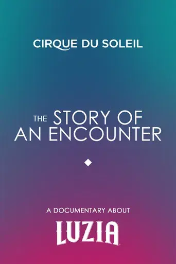 The Story Of An Encounter