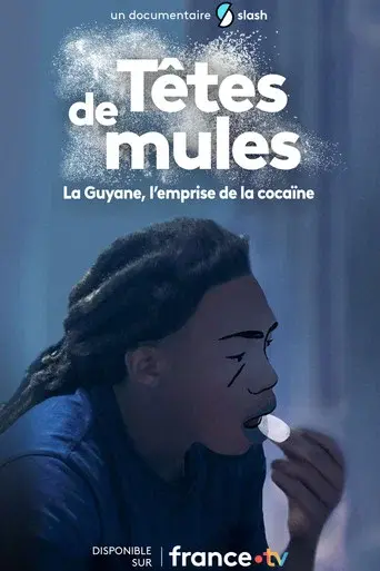Têtes de mules : La Guyane, l'emprise de la cocaïne