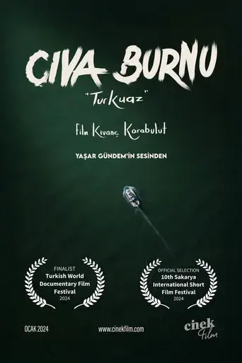 Cıva Burnu "Turkuaz"