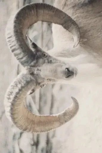 Paradies der Tiere