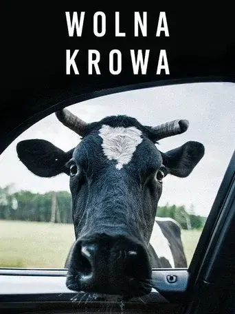 Free Cow