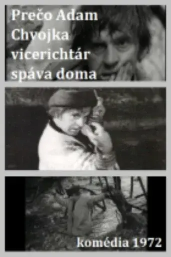 Adam Chvojka vicerichtár