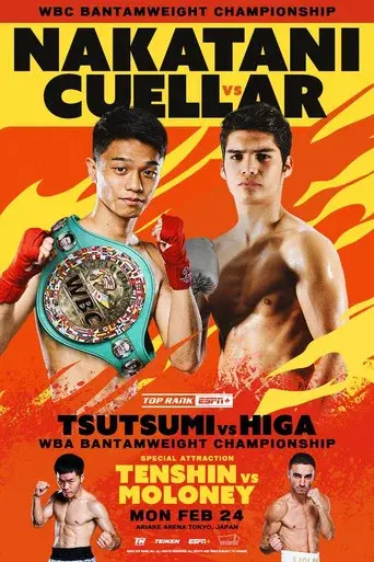 PRIME VIDEO BOXING 11