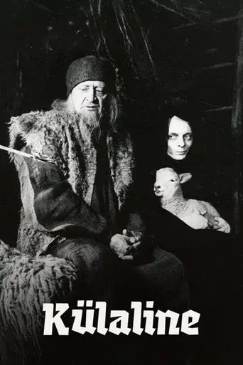 The Visitor