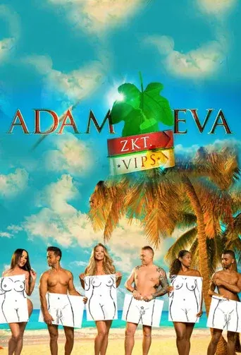 VIPS 1