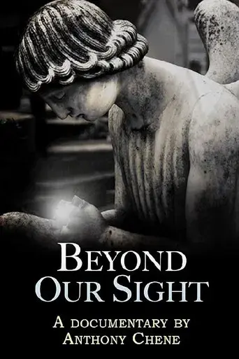 Beyond Our Sight