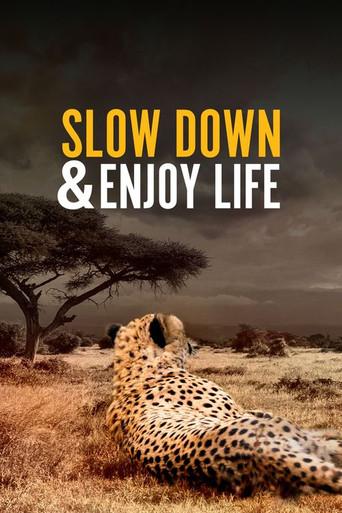 Slow Down and Enjoy Life