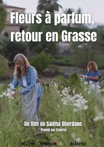 Fleurs à parfum, retour en Grasse